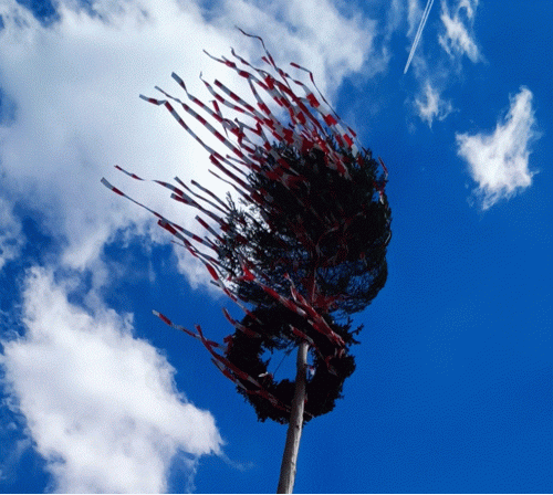 Maibaum_1